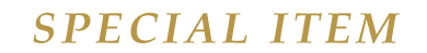 SPECIAL ITEM